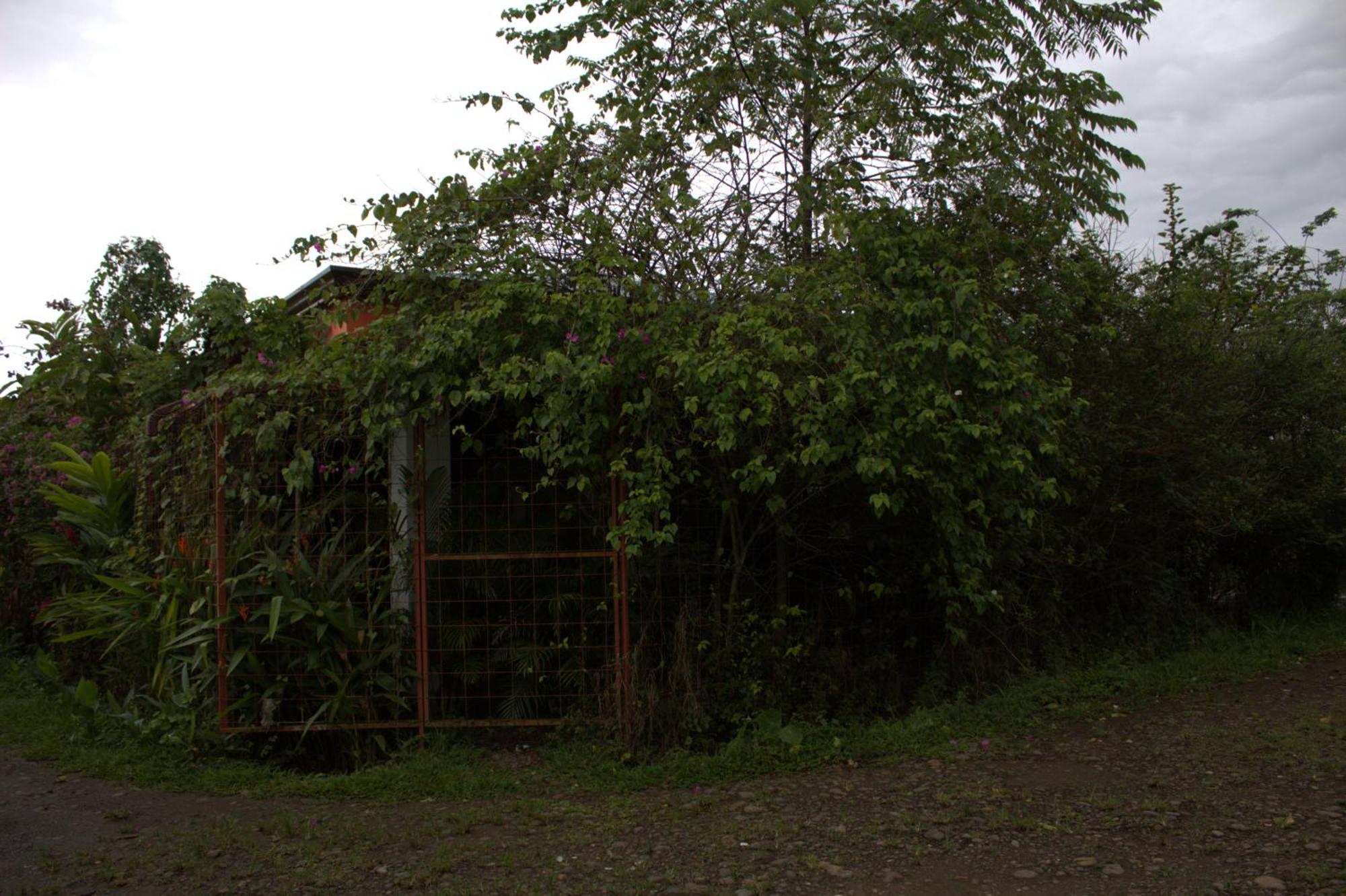 Home La Fortuna Exterior foto